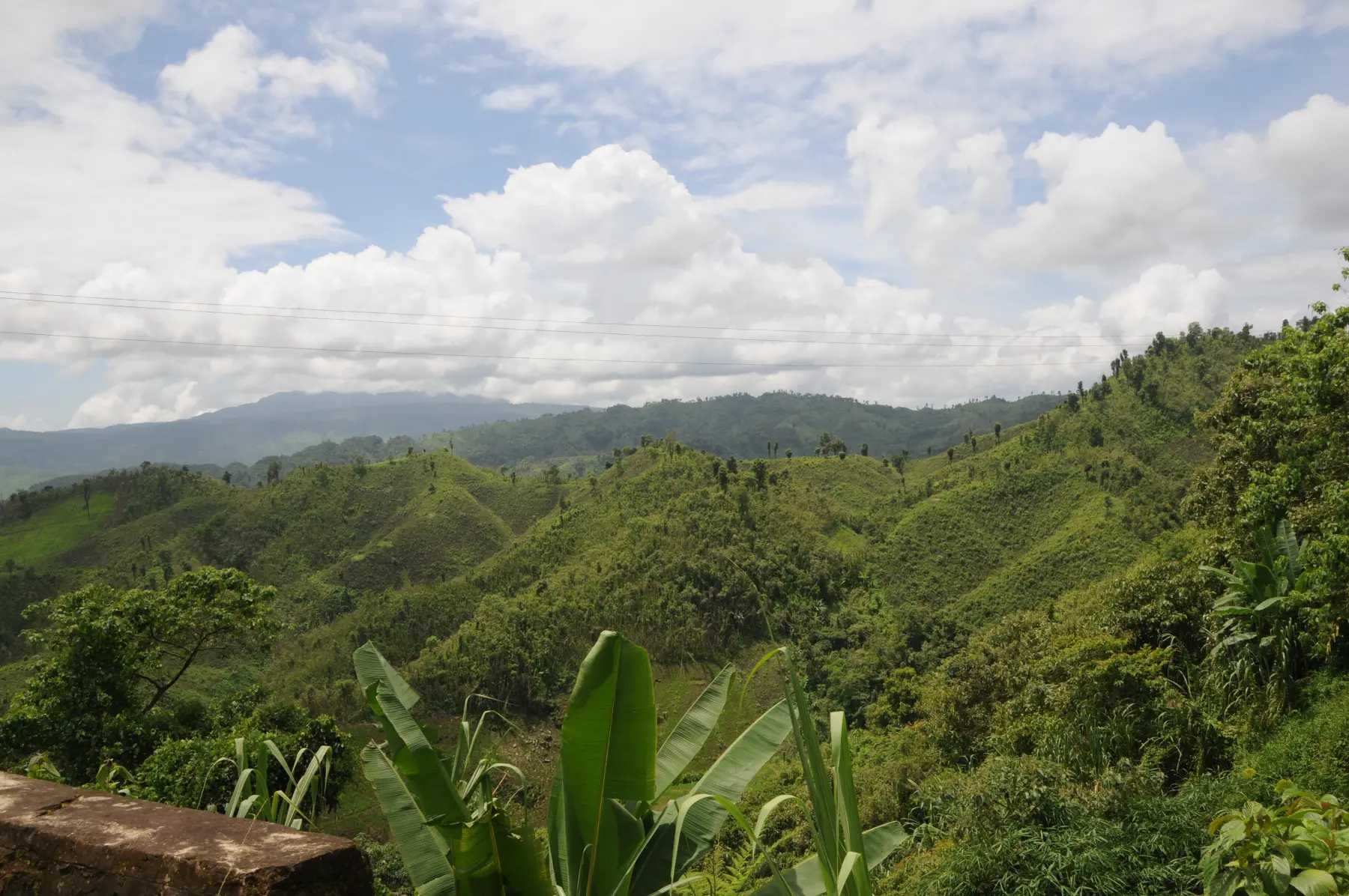 Green hills of Nungba